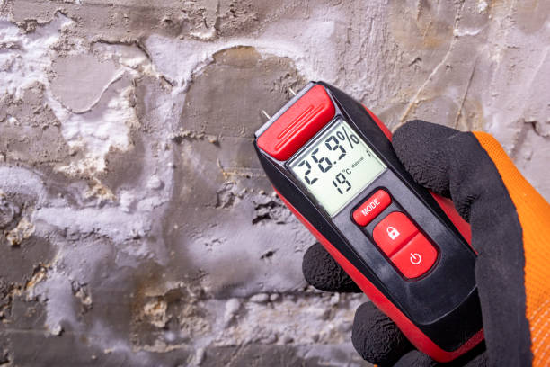 Best Professional Mold Removal  in Dry Ridge, OH