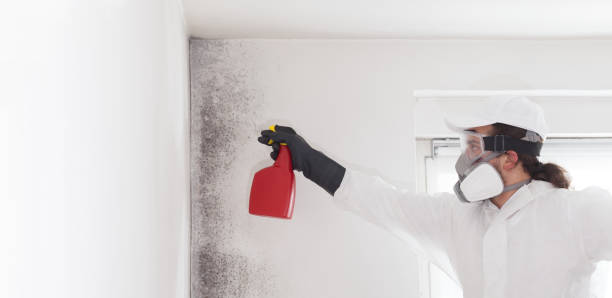 Best Residential Mold Removal  in Dry Ridge, OH